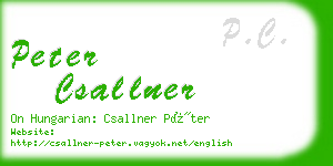 peter csallner business card